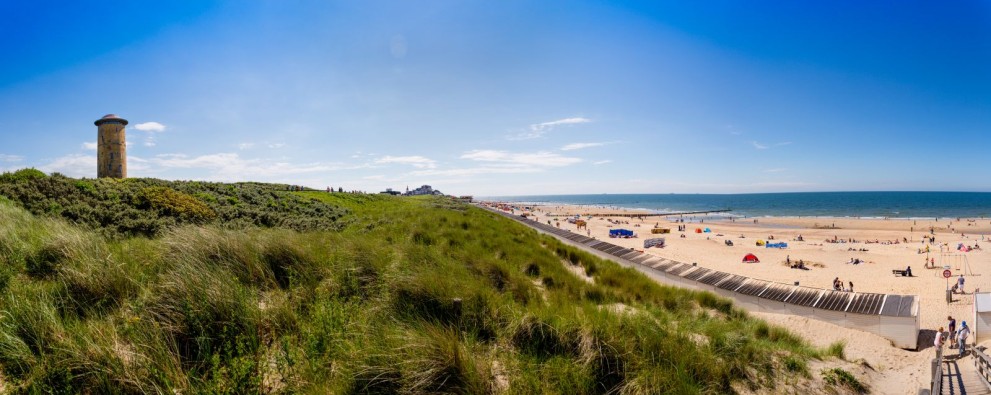 Header strand.jpg Header strand.jpg