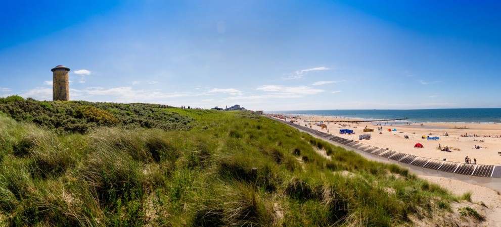 Header strand.jpg Header strand.jpg