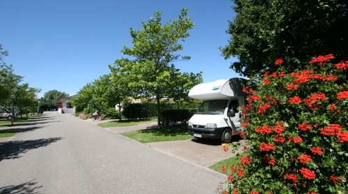 camperbasis1.jpg