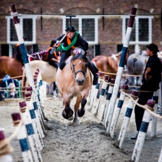 ringrijden.jpg