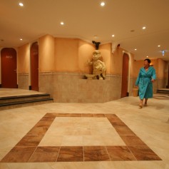 Hal Badhuis Zwibadius